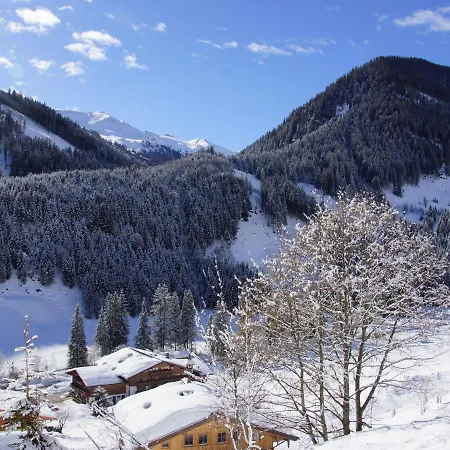 Chalet Glemmerl Mountain - Osb03102g-t *